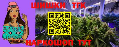 индика Обь