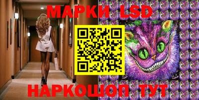 индика Обь