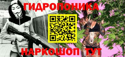 индика Обь