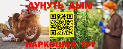 индика Обь