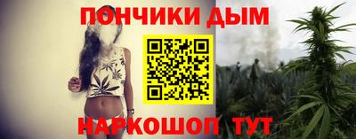индика Обь