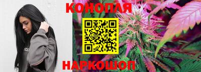индика Обь