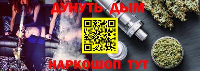 индика Обь