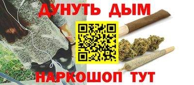 индика Обь