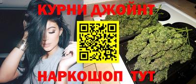 индика Обь