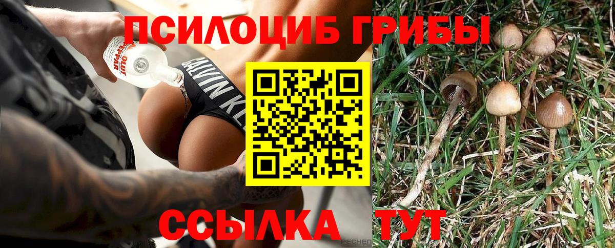 Псилоцибиновые грибы мухоморы  где купить   Сосновоборск  Вход с VPN  Псилоцибиновые грибы мухоморы 